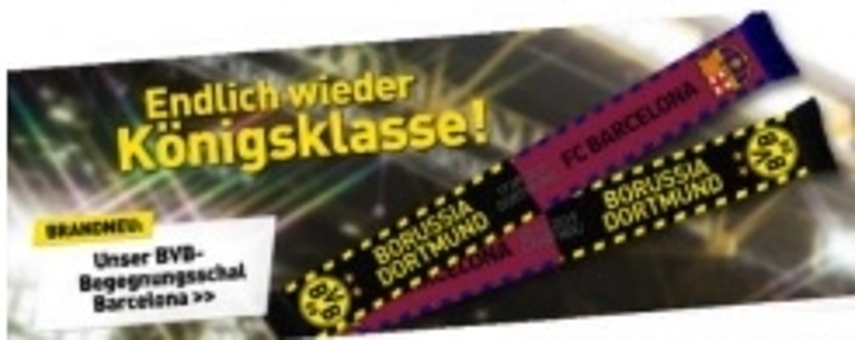 bild_bvb bild_bvb